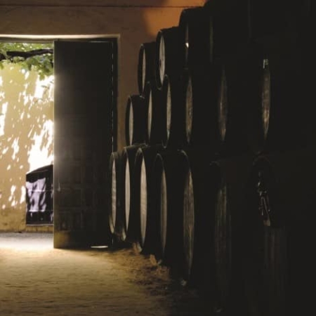 Cave dégustation de vins de Cadix