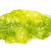 buy-spanish-seaweed-sea-lettuce-sealettuce-premium-quality