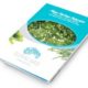 Acheter Laitue de mer salaison (algues) 100g - Produit gourmet Suralgas