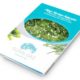 buy-spanish-seaweed-sea-lettuce-sealettuce-premium-quality-suralgas-sealettuce-300x271
