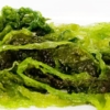 buy-green-aonori-salting-spanish-bahia-de-cadiz-gourmet-fresh