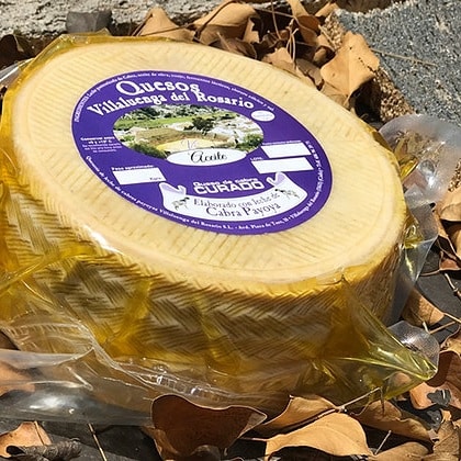 Buy spanish delicatessen Cured Payoya goat cheese in oil