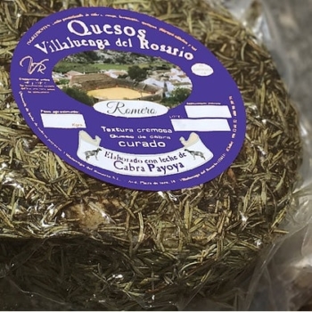 Buy Spanish Cured Payoya goat cheese in rosemary
