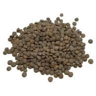 Buy organic brown lentils from Spain alandalus club