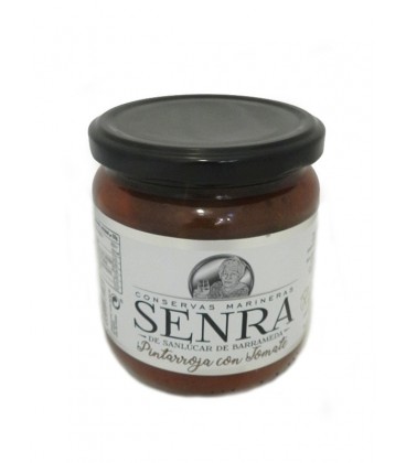 buy-spanish-pintarroja-with-tomato-senra-premium-quality-online