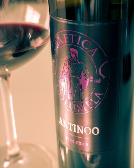 Vin ANTINOO Premium