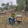 buy Spanish ecologic Milflores Summer honey  online alandalus club