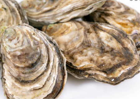 buy spanish estuary oysters del aqua delicacies online alandalus club premium quality gourmet