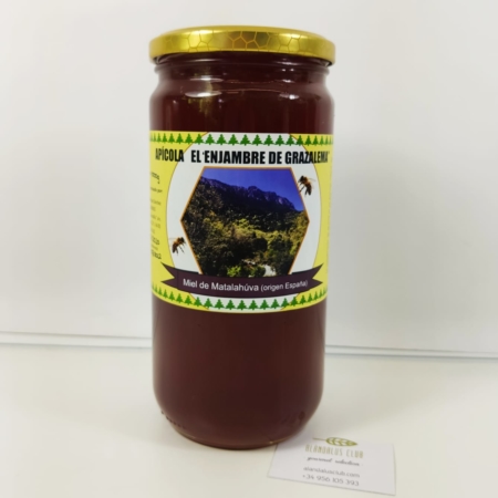 Acheter Miel d'anis vert 1kg - El Enjambre de Grazalema